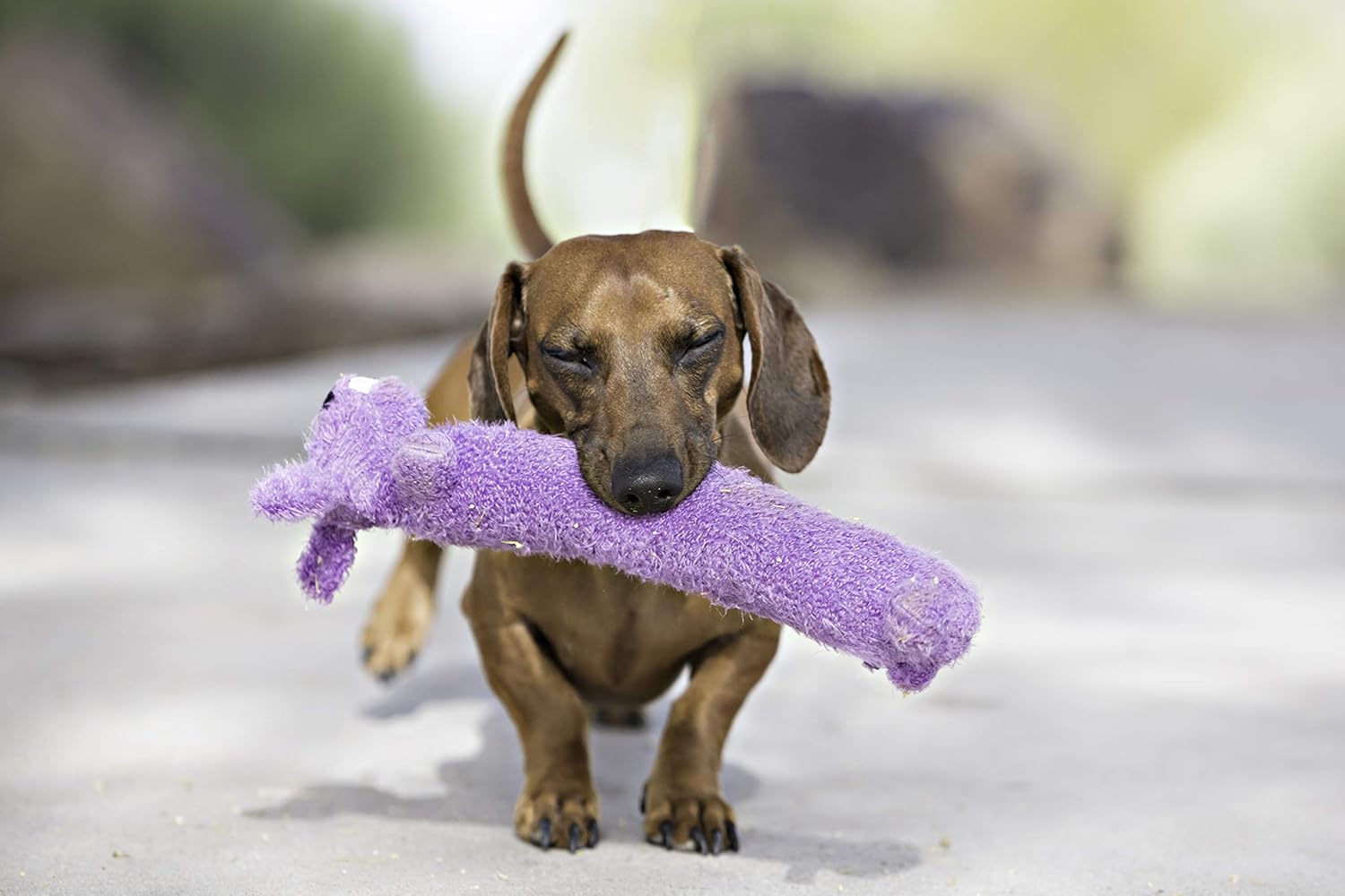Juguete de Peluche para Perros Multipet Loofa Dog